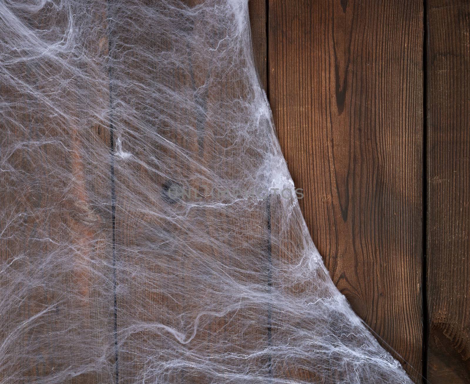 white spider web in the corner of the composition, gray wooden background from old boards, backdrop  for Halloween holiday, copy space