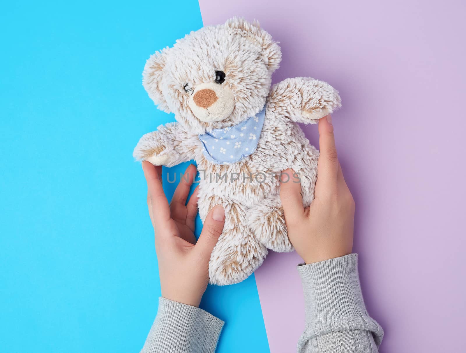 two female hands hold a small toy teddy bear on a blue background, top view