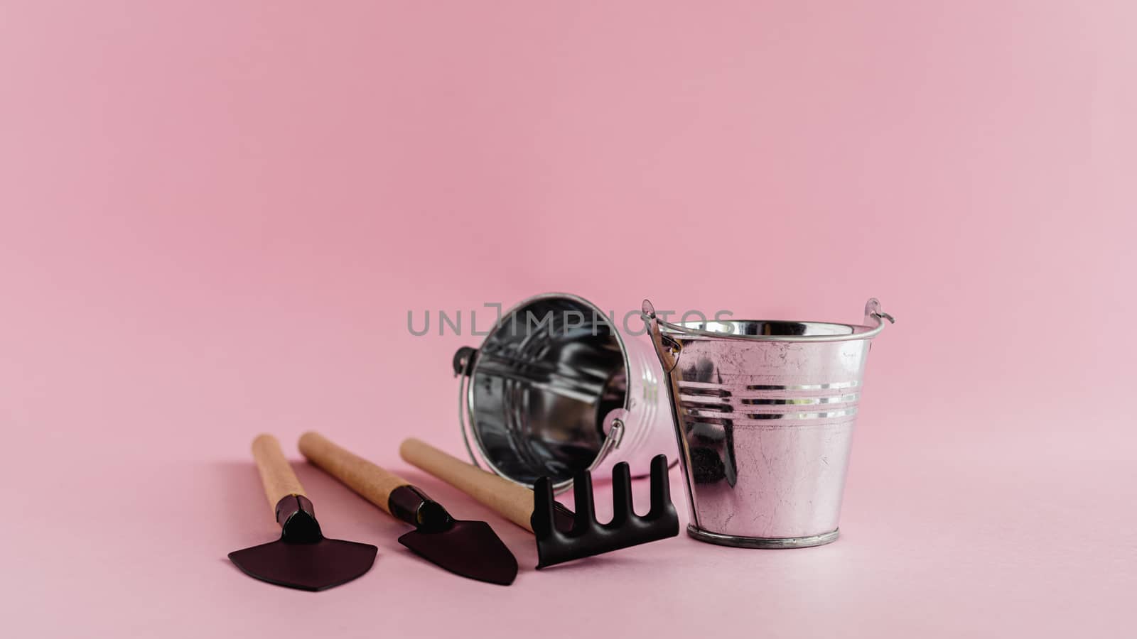 Gardening tools with colored tin pails or buckets on pink background for planting concept