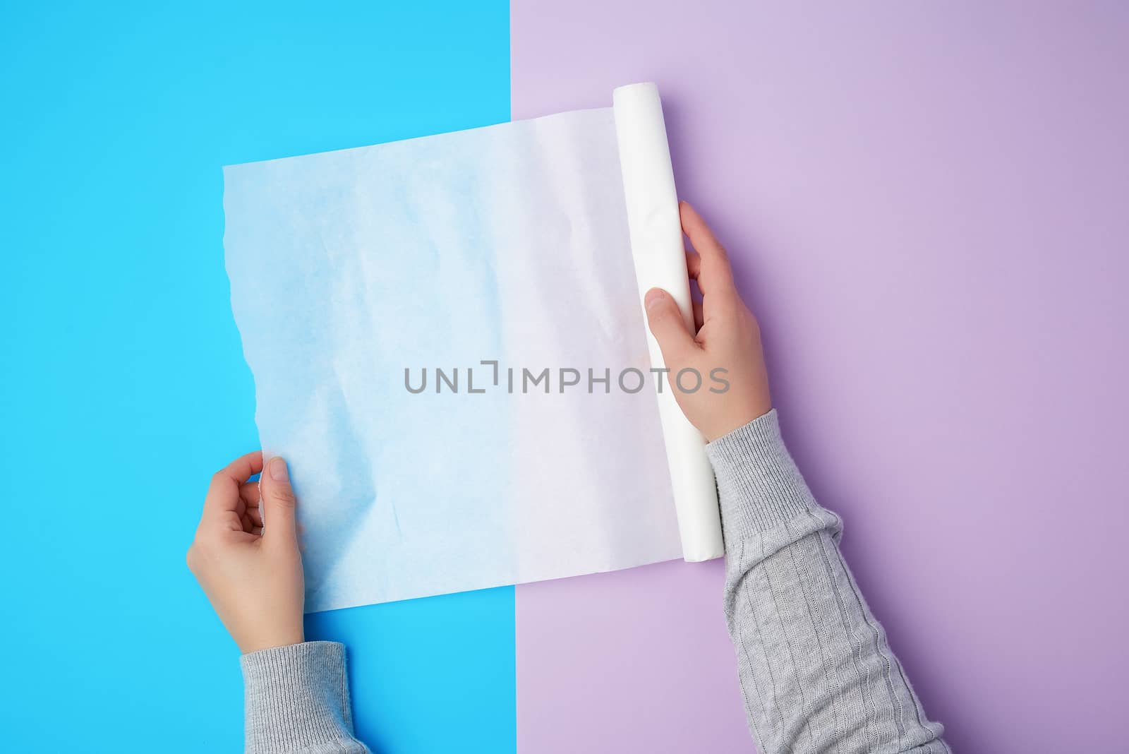two female hands holding a roll of white parchment baking paper on a colored background, top view
