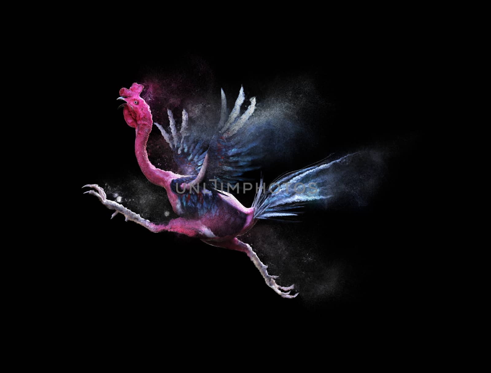 A cockfight moving and jumping with dust particle effect on black background, 3d illustration