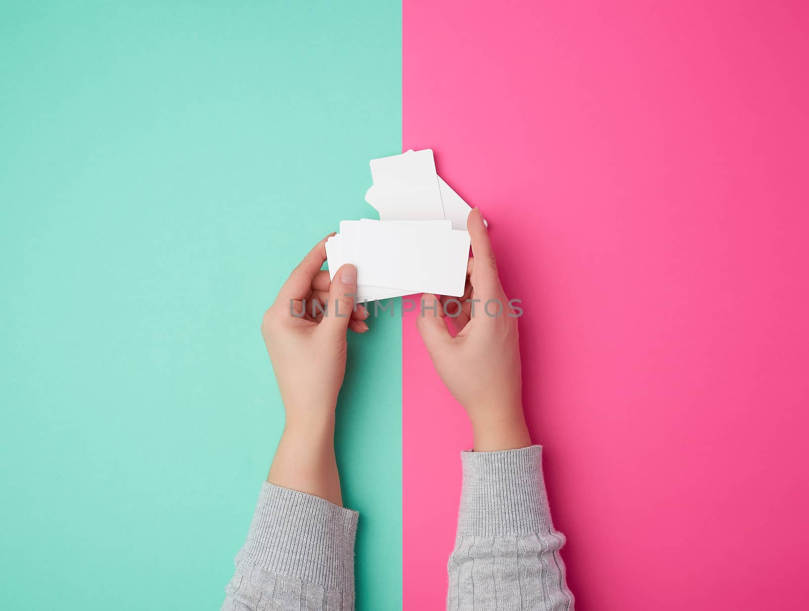 two female hands holding a stack of empty white paper business cards on a colored background, top view