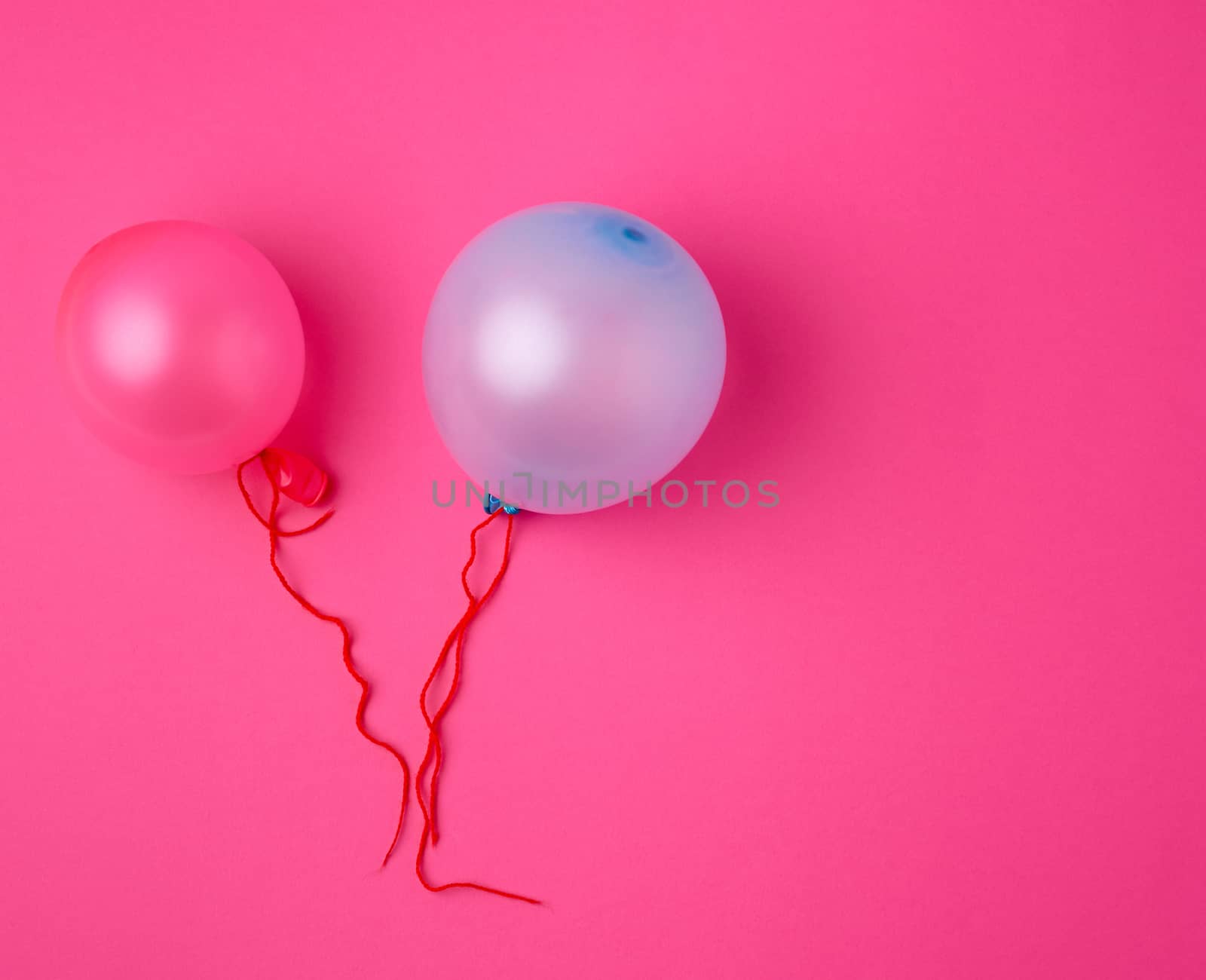 inflated blue and pink rubber balloons on a pink background, red rope