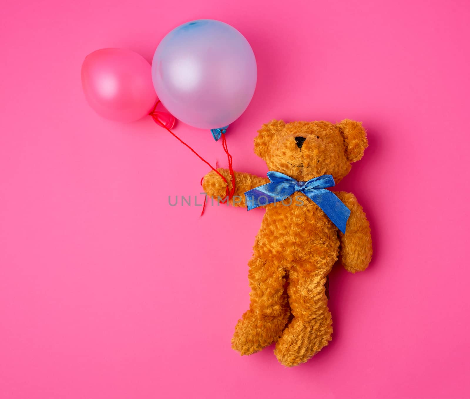 little brown teddy bear holds two inflated balloons on a rope on a pink background