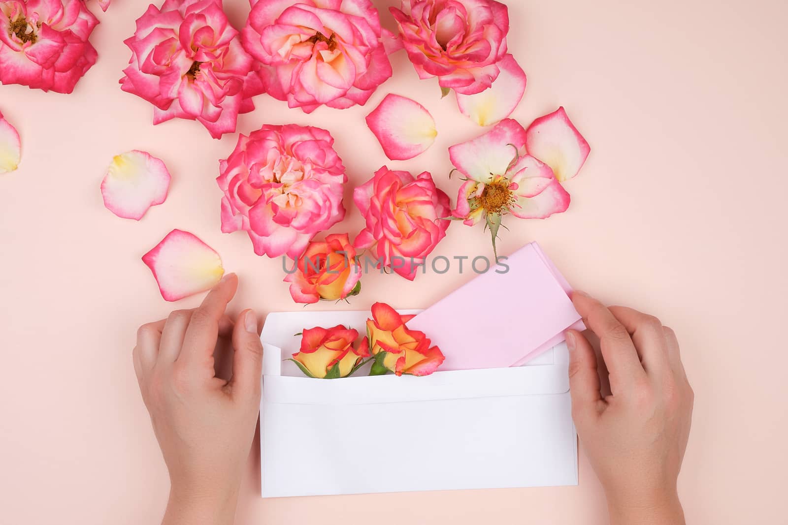 two female hands hold a brown white envelope, moisten a white sheet of paper into it, sending letters, top view