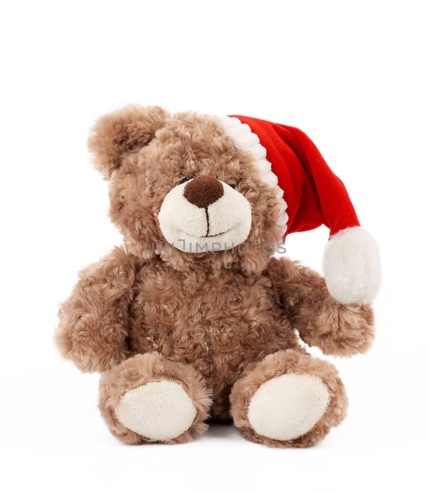 little cute brown teddy bear with in a red Christmas hat sits  by ndanko