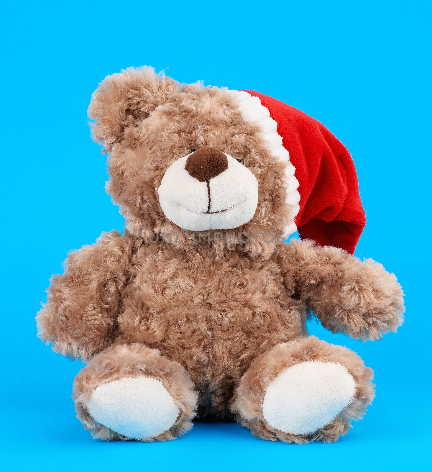 little cute brown teddy bear with in a red Christmas hat by ndanko