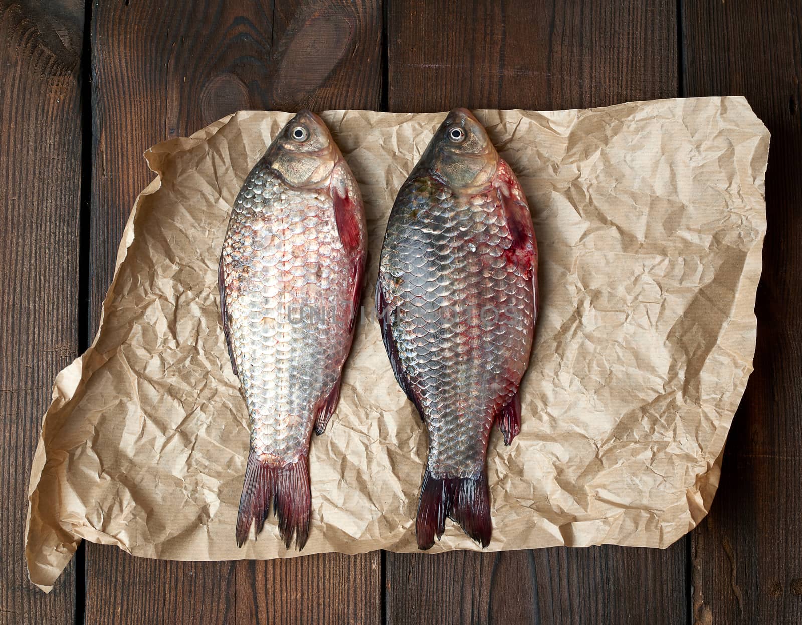 whole fresh crucian fish with scales on a crumpled brown piece of paper, close up