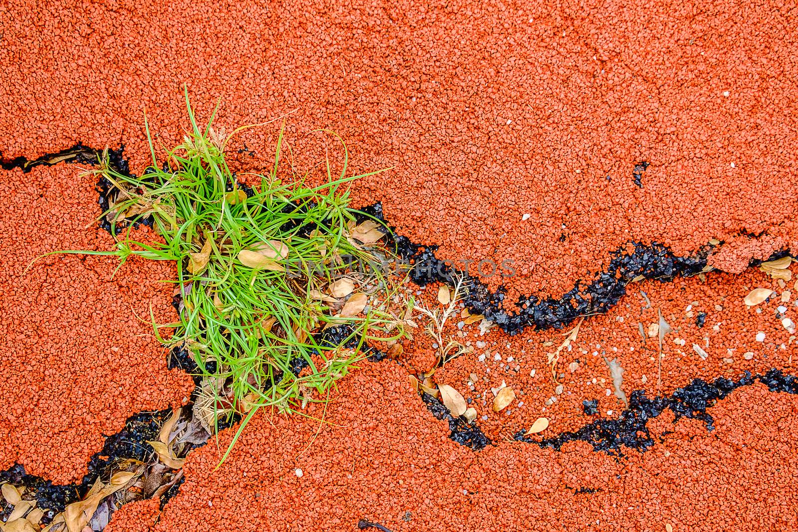 Cracked surface of playground rubber with green grass