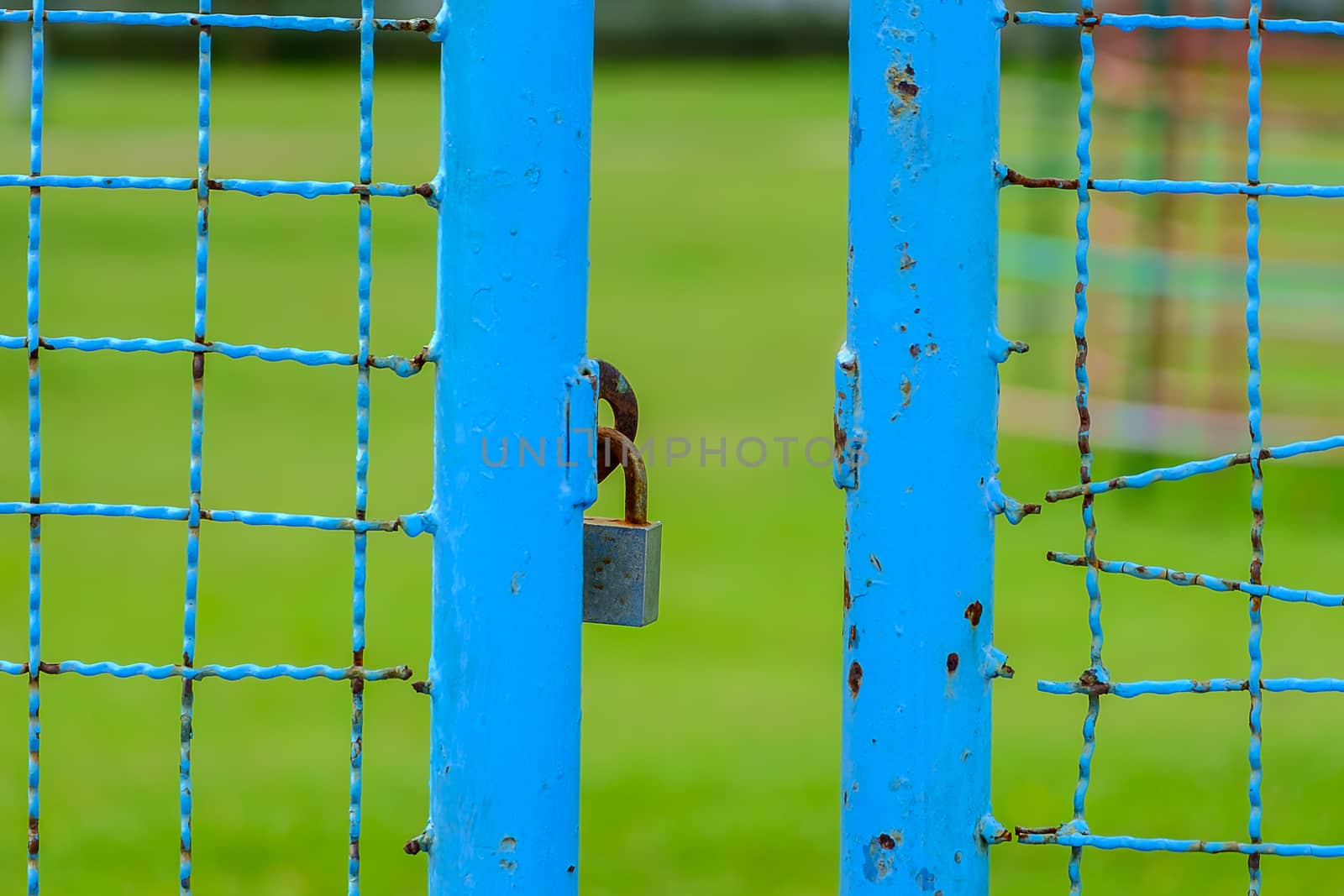 Opened blue field gate with key lock