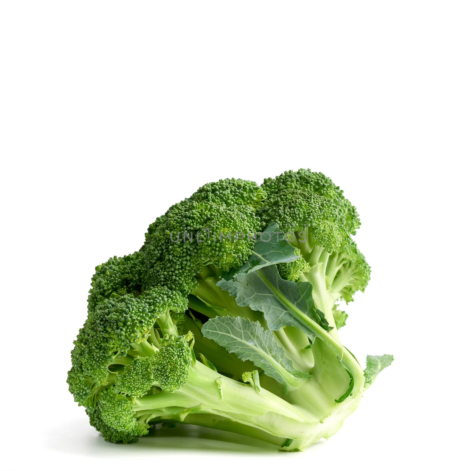 whole fresh green broccoli cabbage on white background, close up