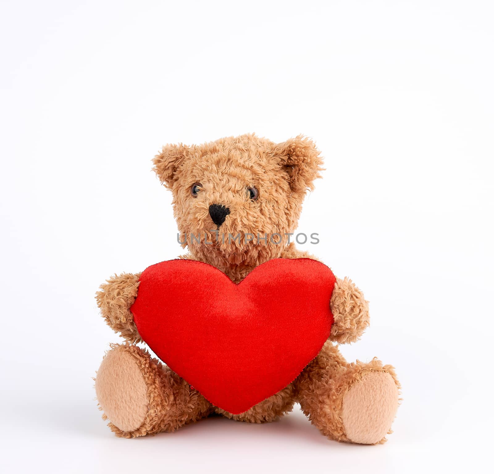 cute brown teddy bear holding a big red heart on a white background, holiday gift for Valentine's Day