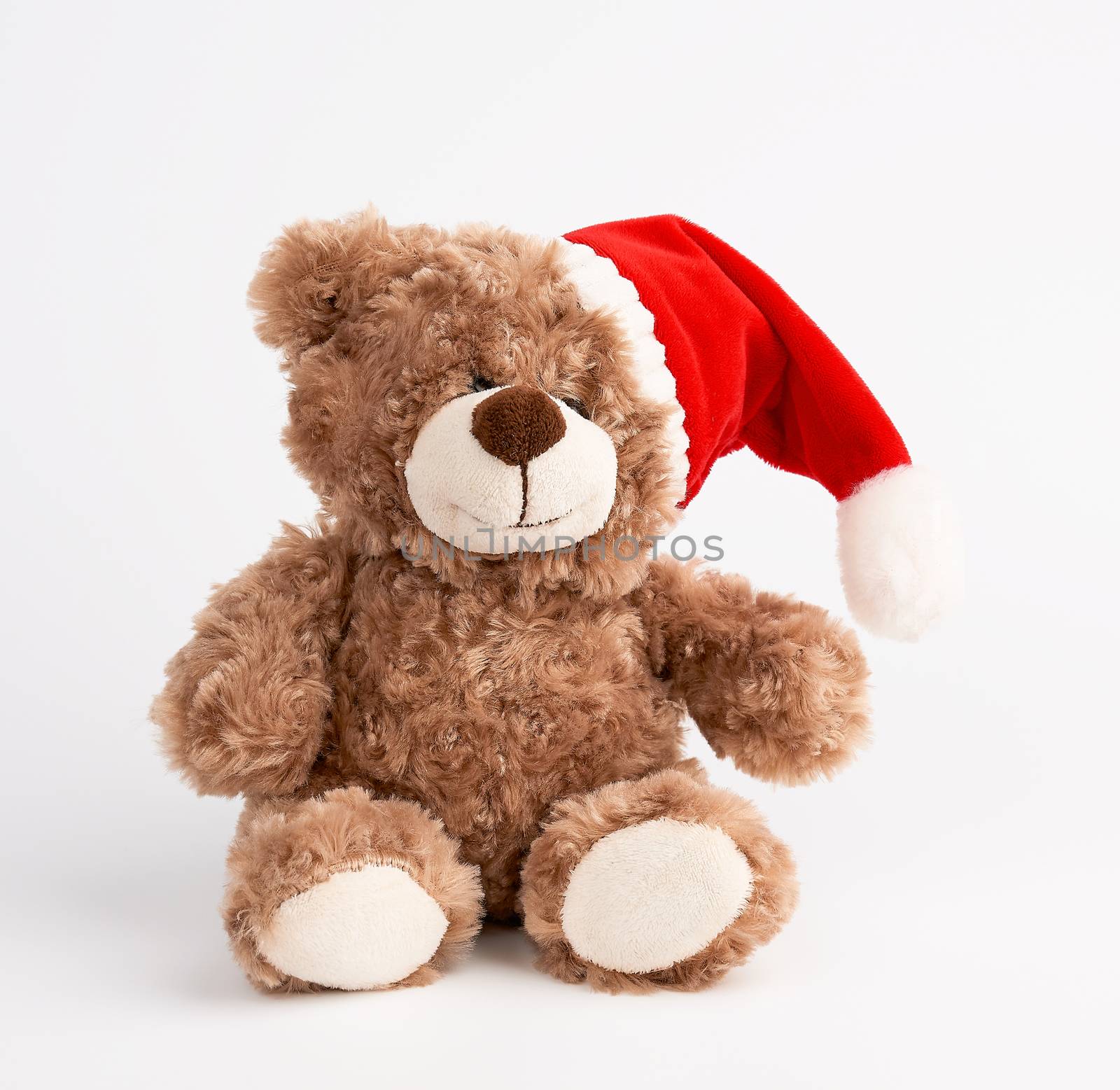 cute brown teddy bear in a red christmas hat sits on a white background