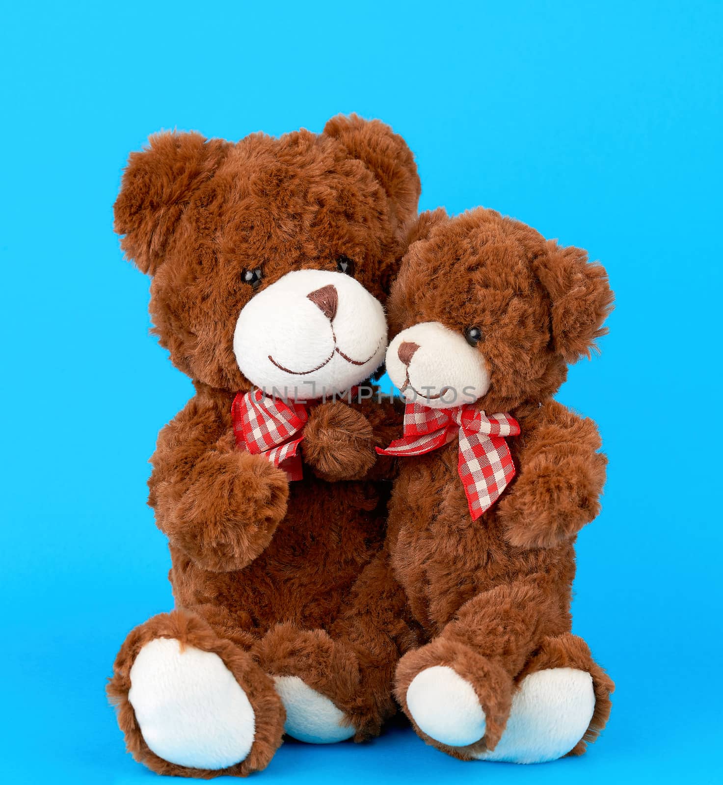 two brown teddy bears with bows tied around their necks, a small bear sitting in the arms of a large one, the concept of family and love