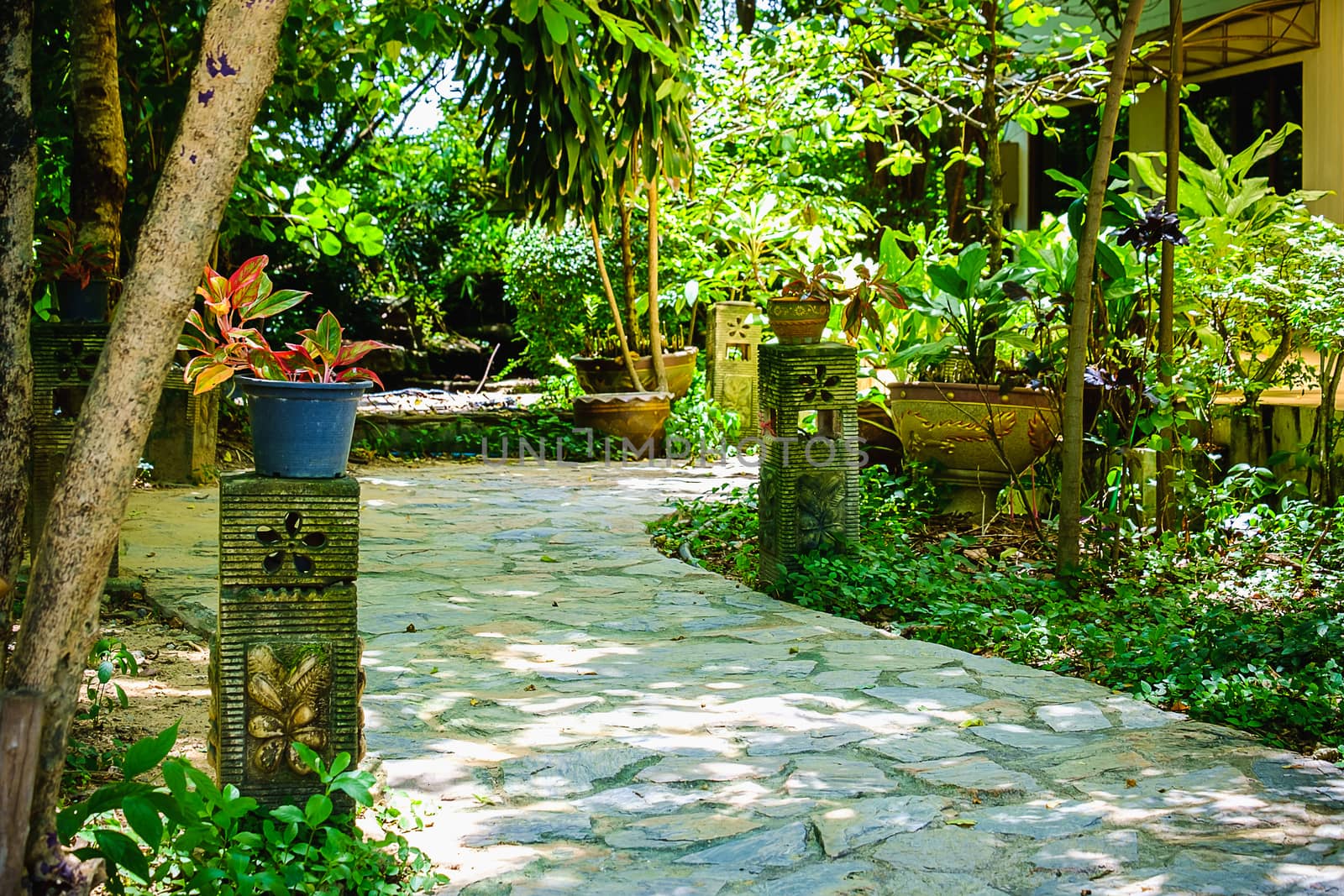 Walkway with two sides of tree