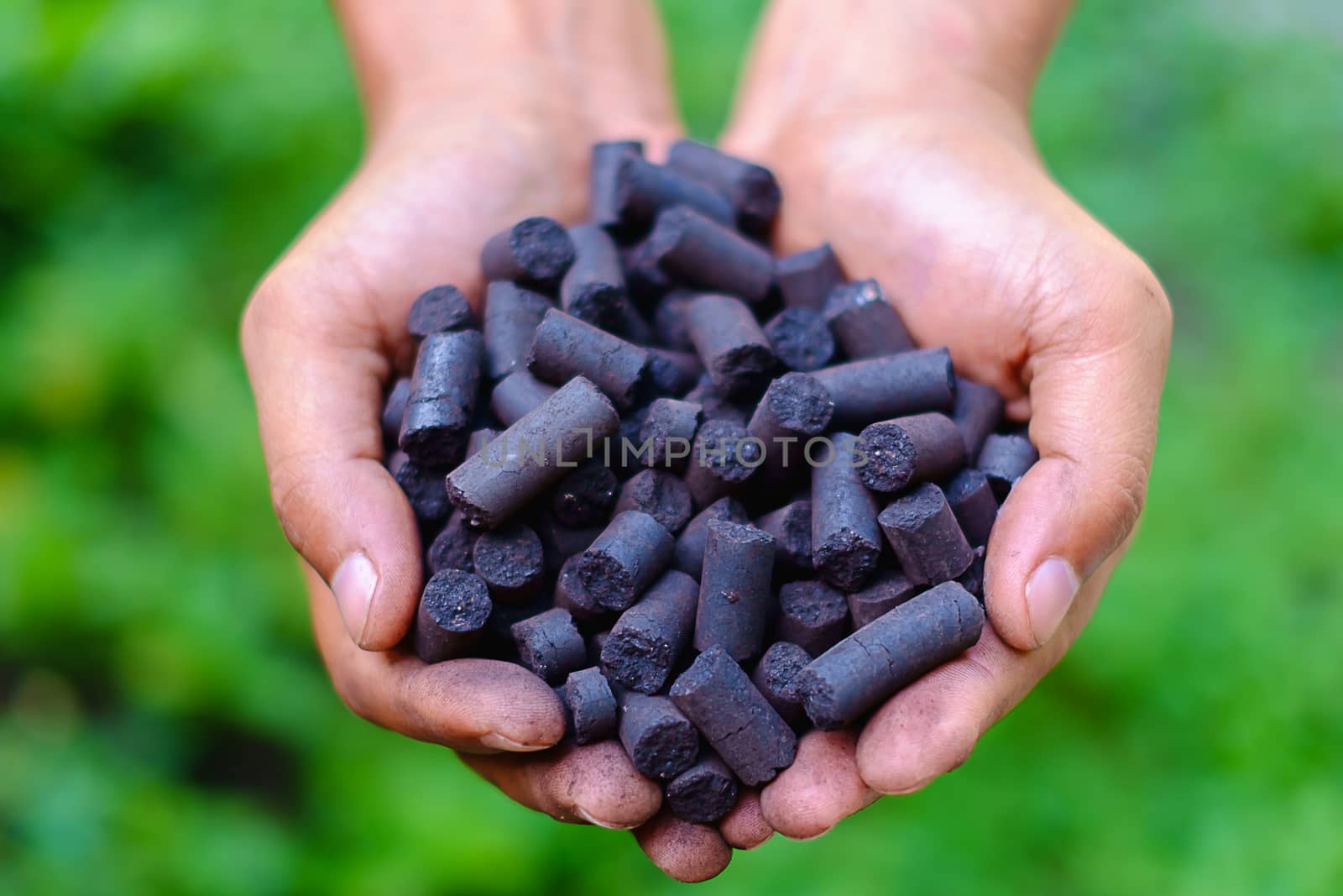 Selective focus of coal pellet in worker's hands against the blurred green natural background, energy concept