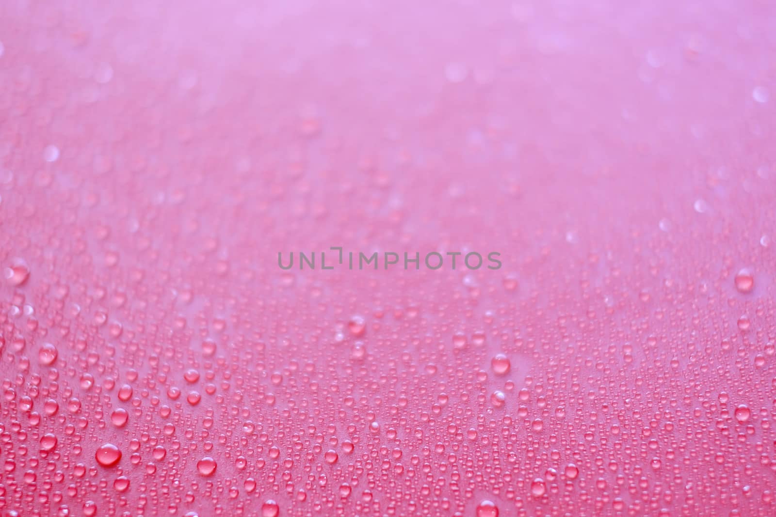 Abstract pink background with water drops