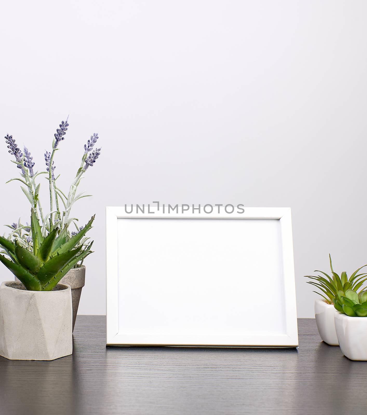 empty white frame, flowerpot with flower on a black table, white background