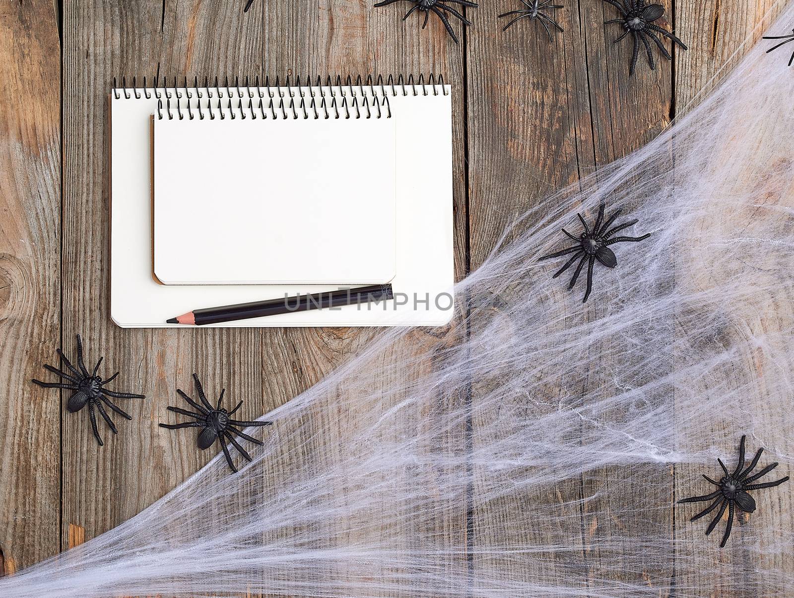 open notebook with blank white pages, spider web and black spiders on a wooden background, top view
