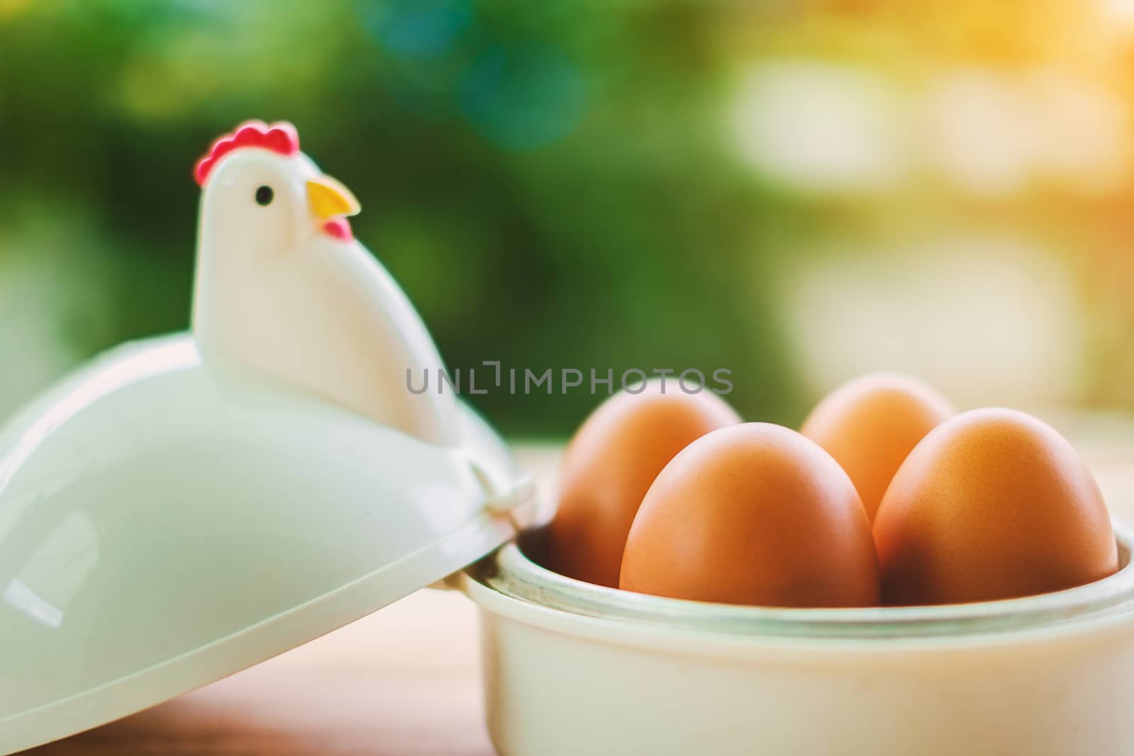 Eggs in egg cup for breakfast with blurred green background
