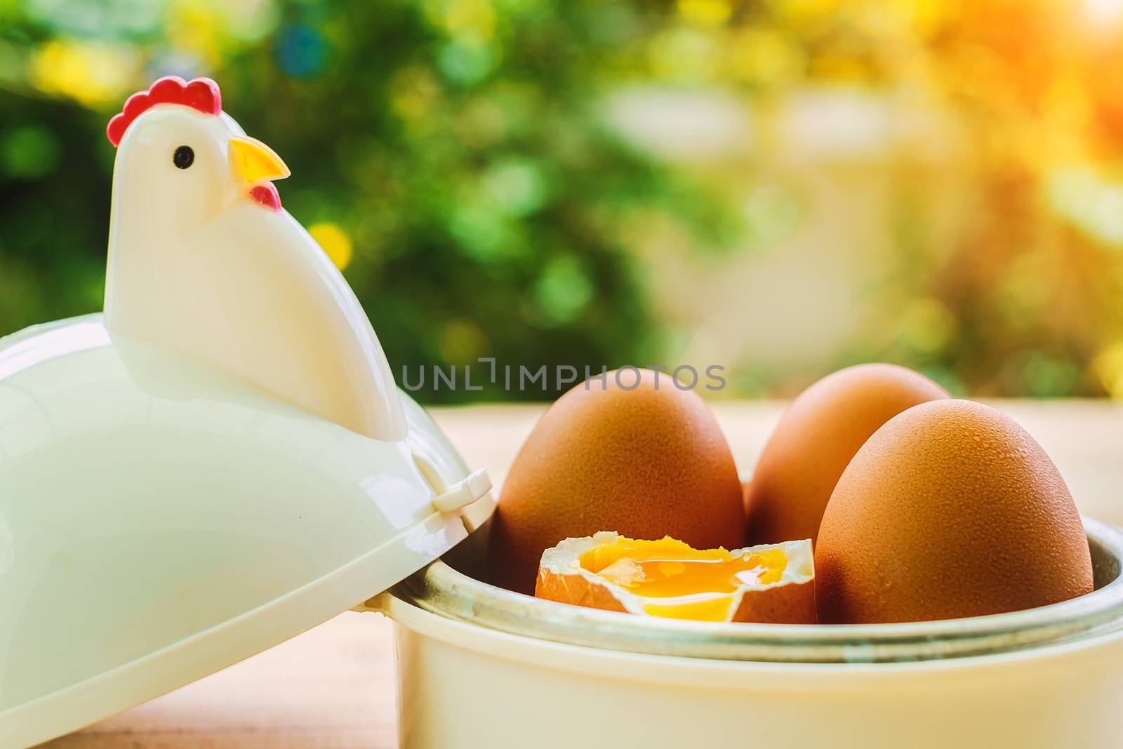 Eggs in egg cup for breakfast with blurred green background