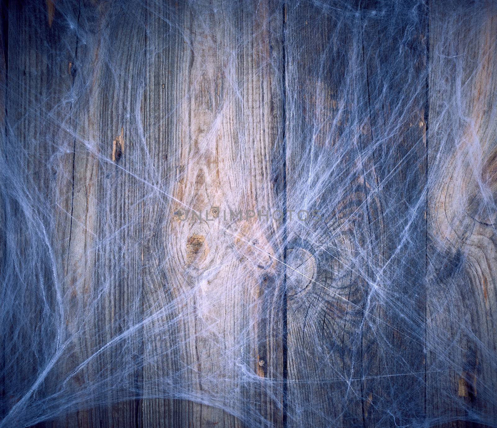 white spider web in the corner of the composition, gray wooden background from old boards, backdrop  for Halloween holiday, copy space