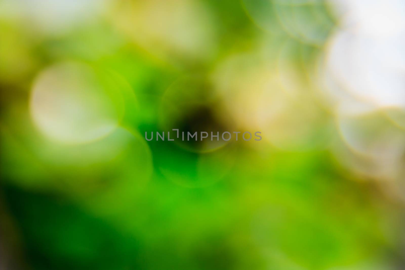 Abstract blurred green natural background