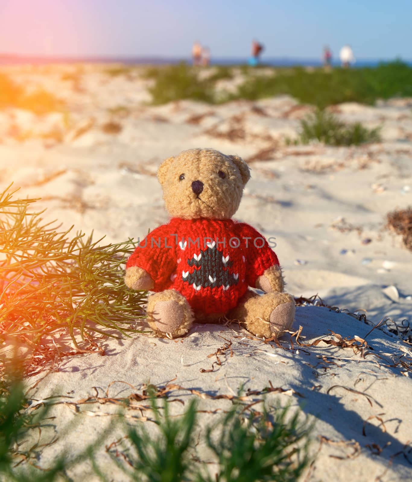 brown teddy bear in a red sweater sitting  on the sandy seashore by ndanko