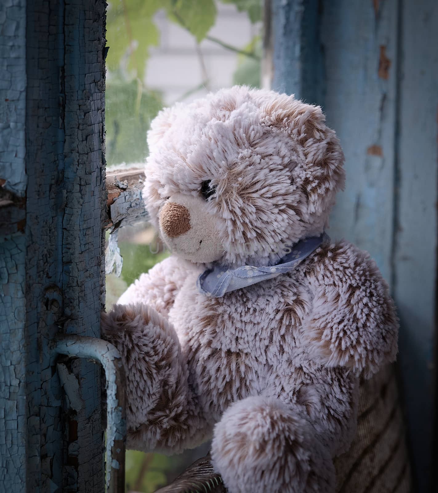 teddy bear sits on a windowsill and looks out the window, nostalgia concept