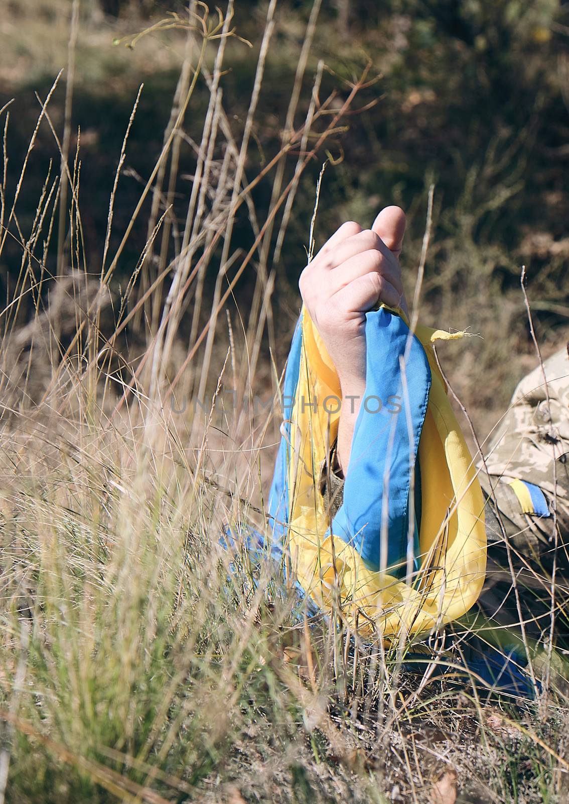 male hand of a Ukrainian army soldier raised up among the grass  by ndanko