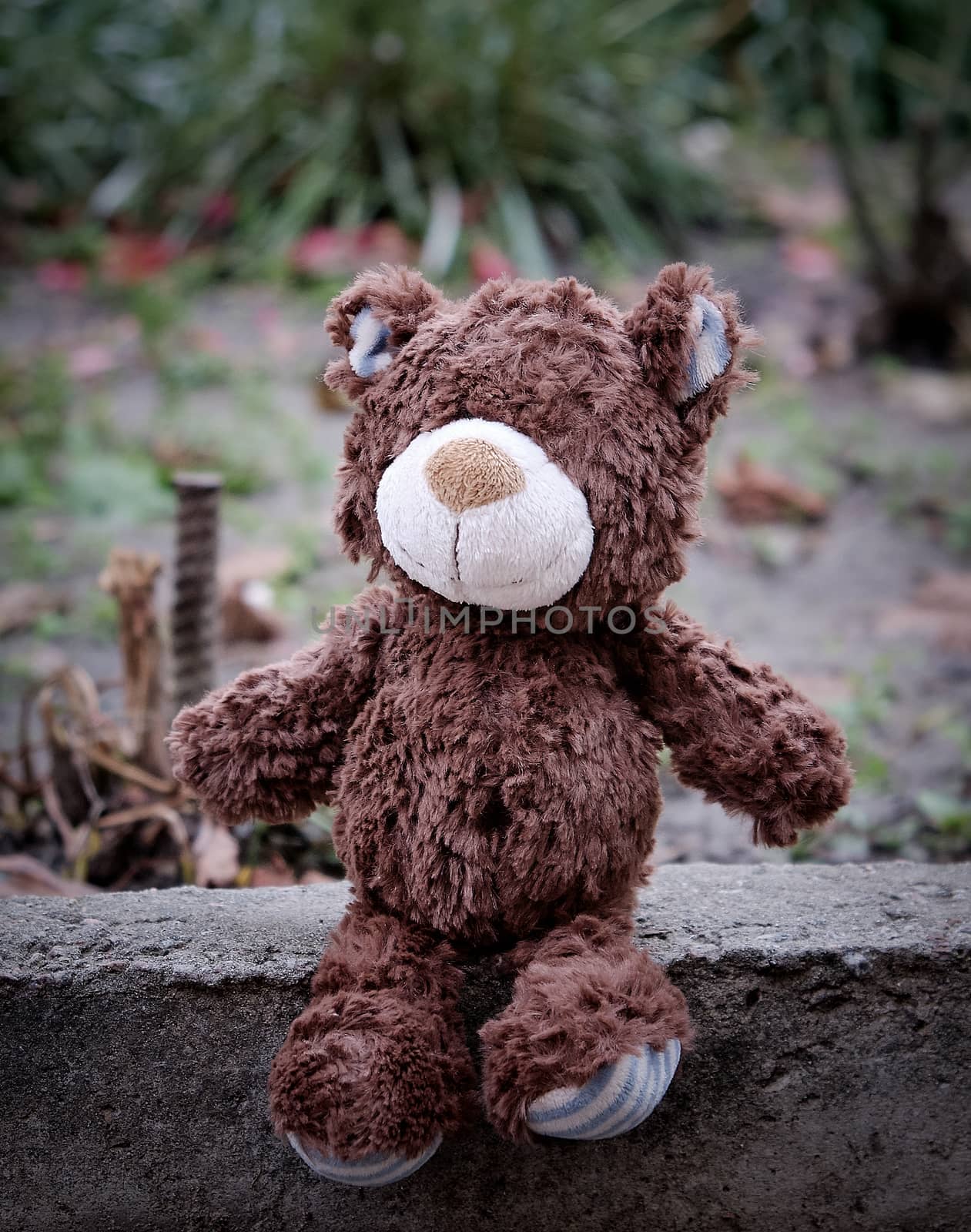 little brown teddy bear sitting on the side of the road during the day, loneliness concept