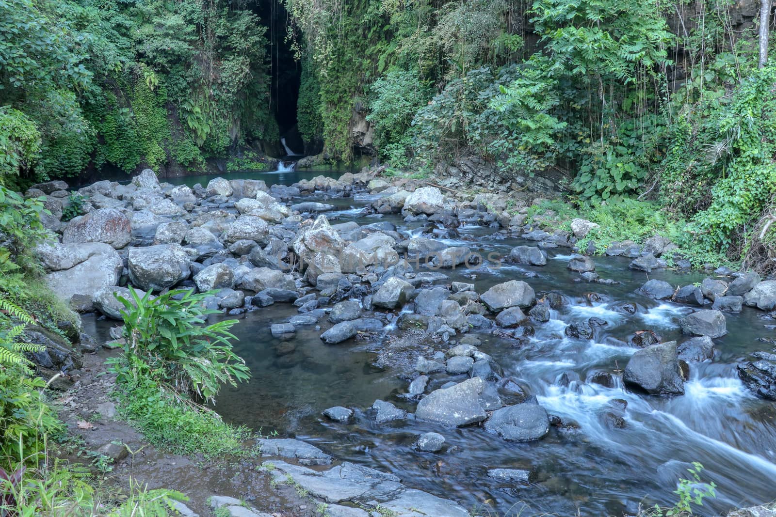 Mountain river bed with many boulders rising above the surface. Wild tropical jungle lining a river bed. Natural place.