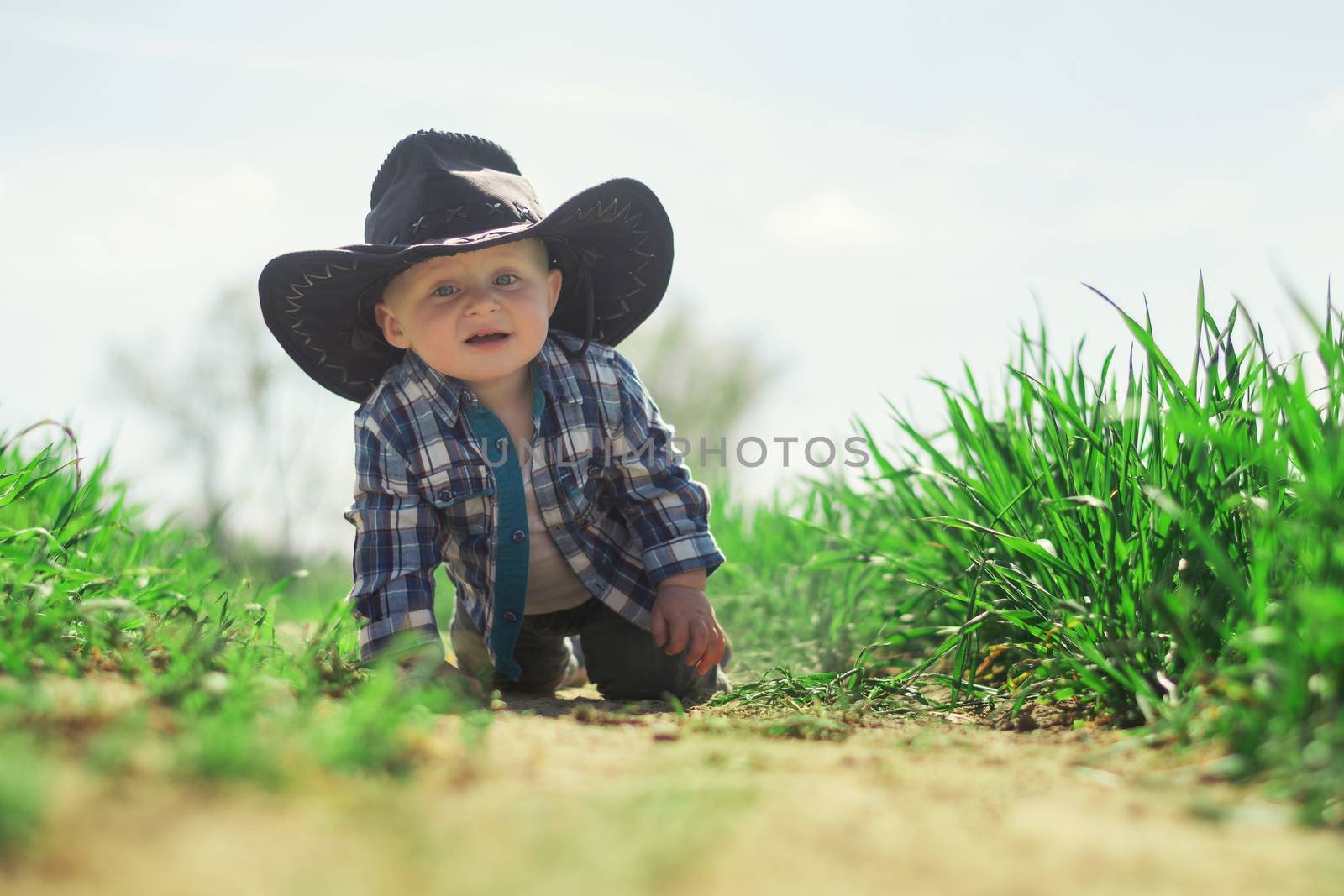A little Caucasian baby boy with blue eyes in a cowboy hat and plaid shirt climbs in the furrow of a field with young growing grain.
