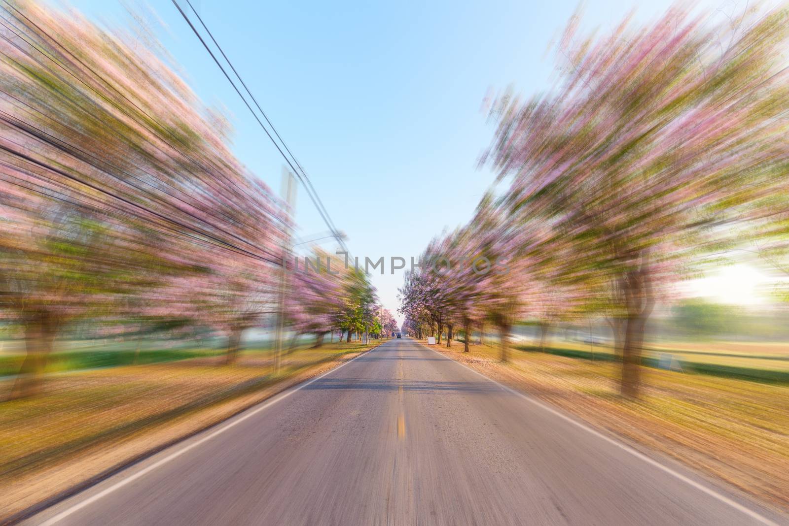 blur moving fast forward at the road of tree by rukawajung