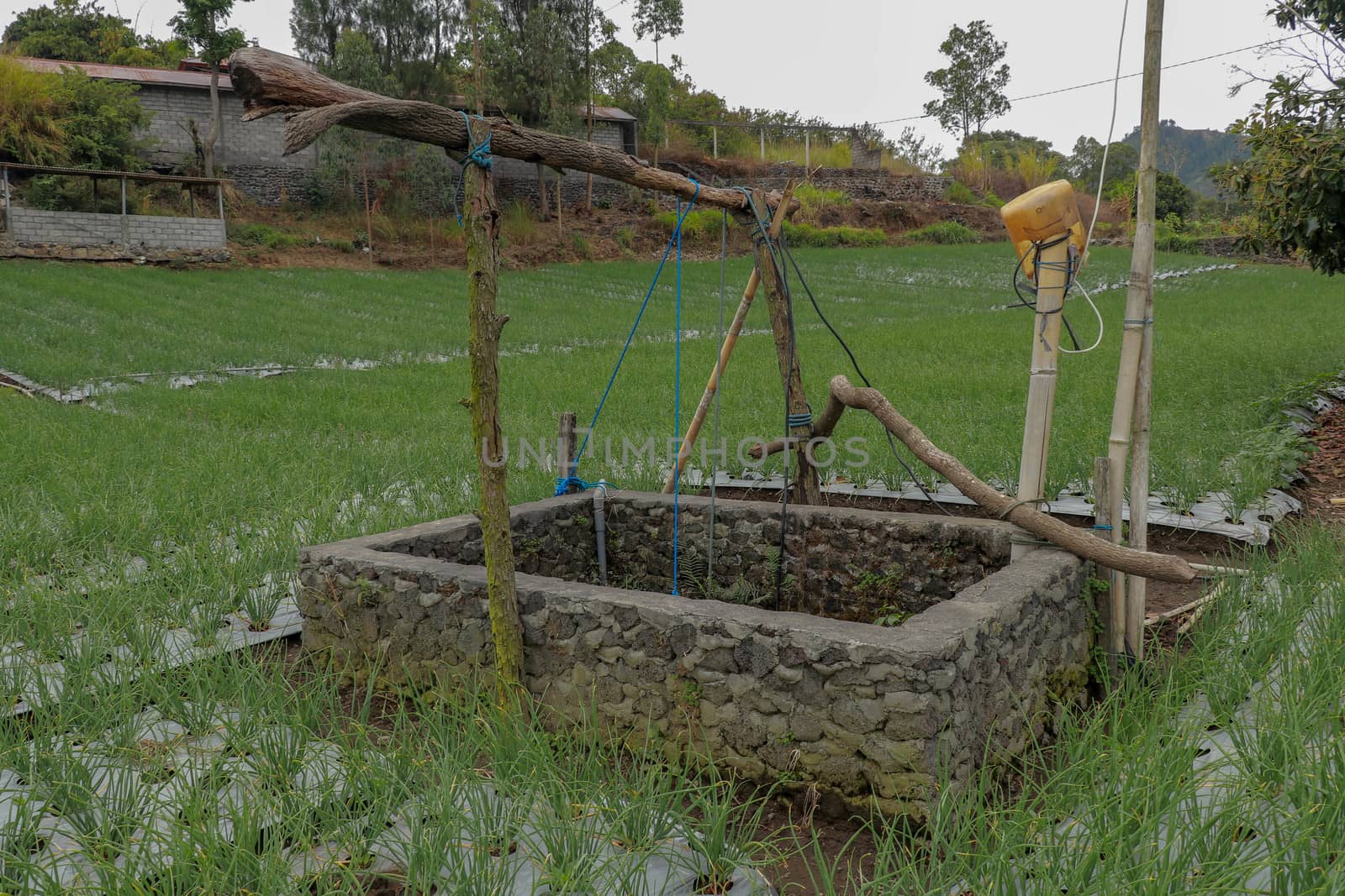 Old well with winch in the middle of an onion field. Wall wells made of stones and mortar. Source of water for irrigation of poor farmers' agricultural crops in the mountains.