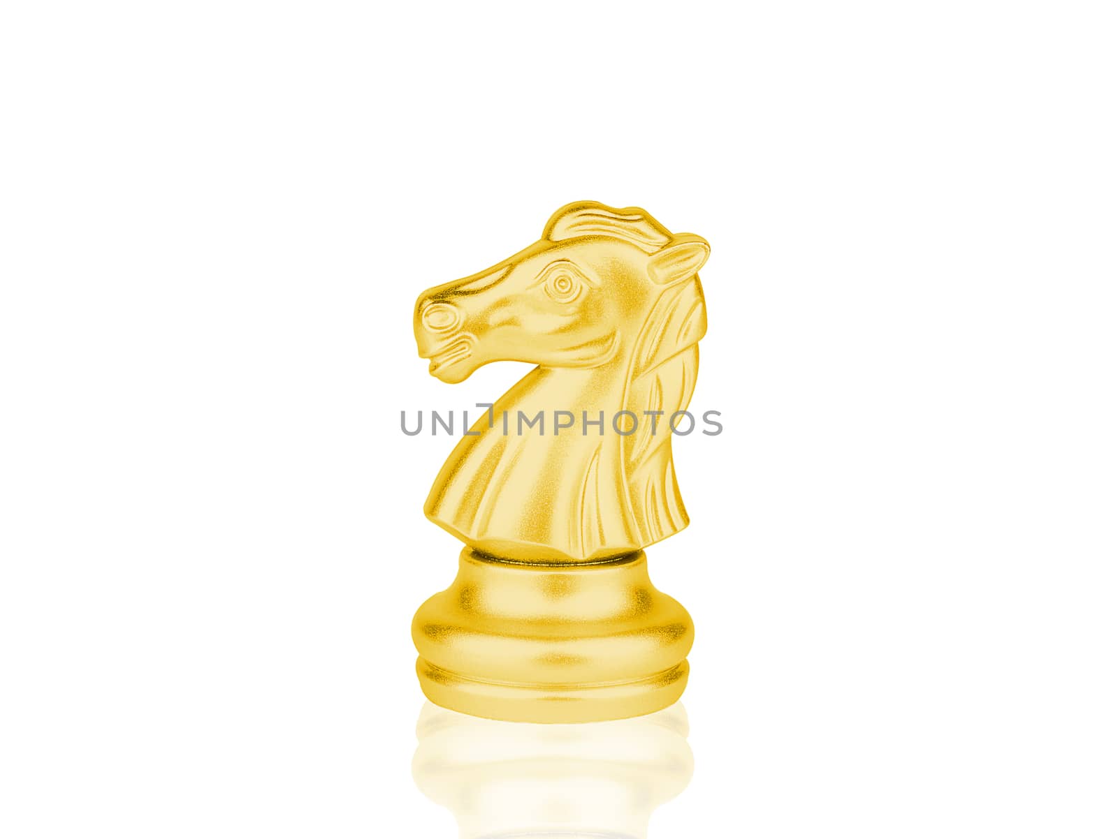 The gold Knight Chess pieces battle isolated on white background with clipping path