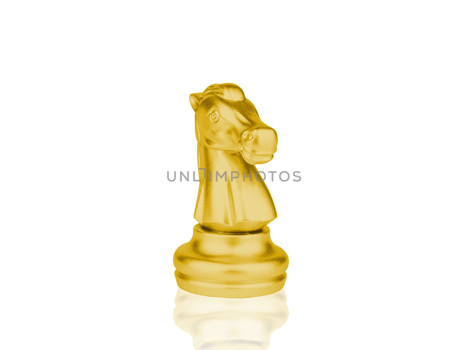 The gold Knight Chess pieces battle isolated on white background with clipping path