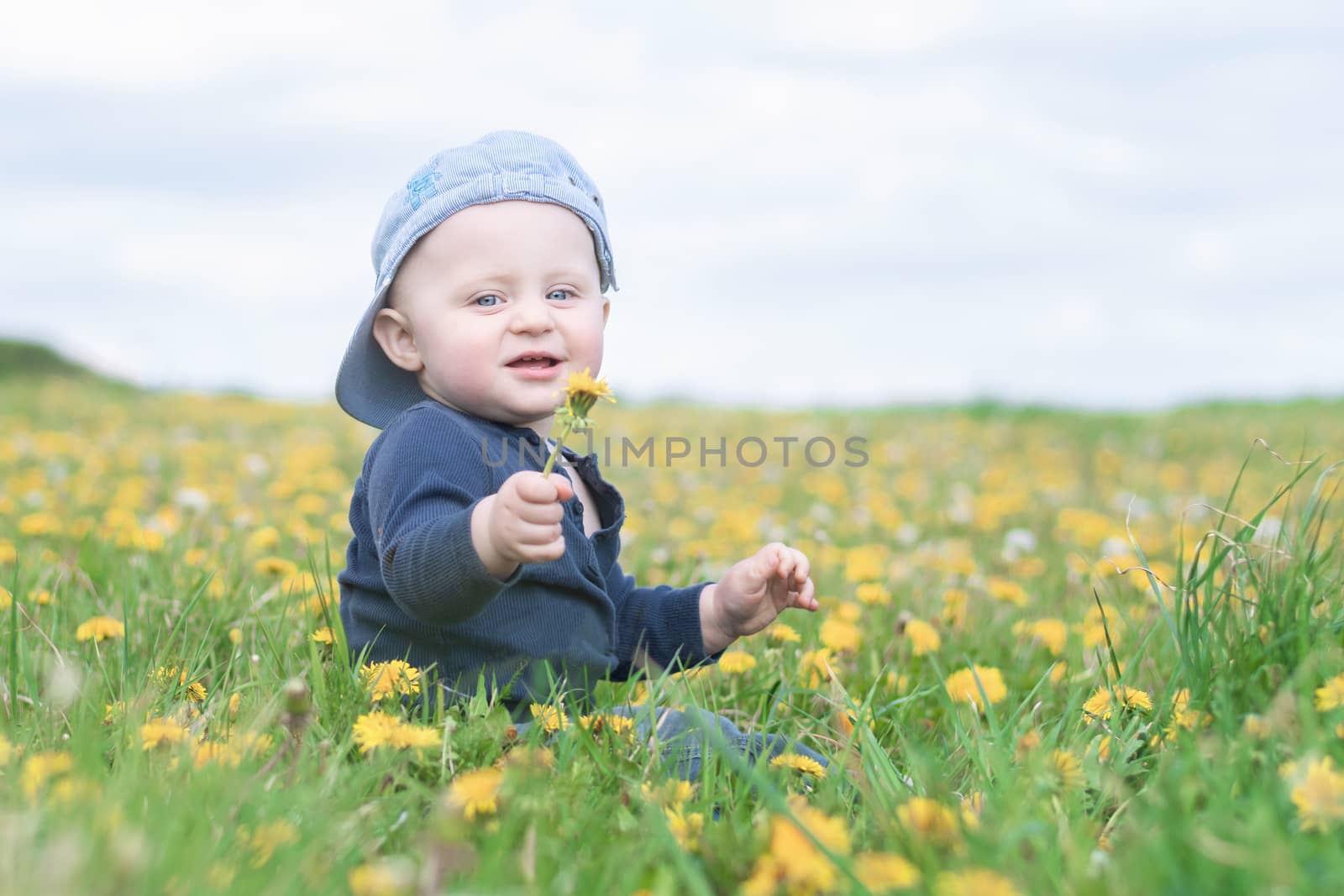 A little  caucasian boy in a baseball cap sits in a meadow full of blooming dandelions and holds one in his hand and looks into the camera.