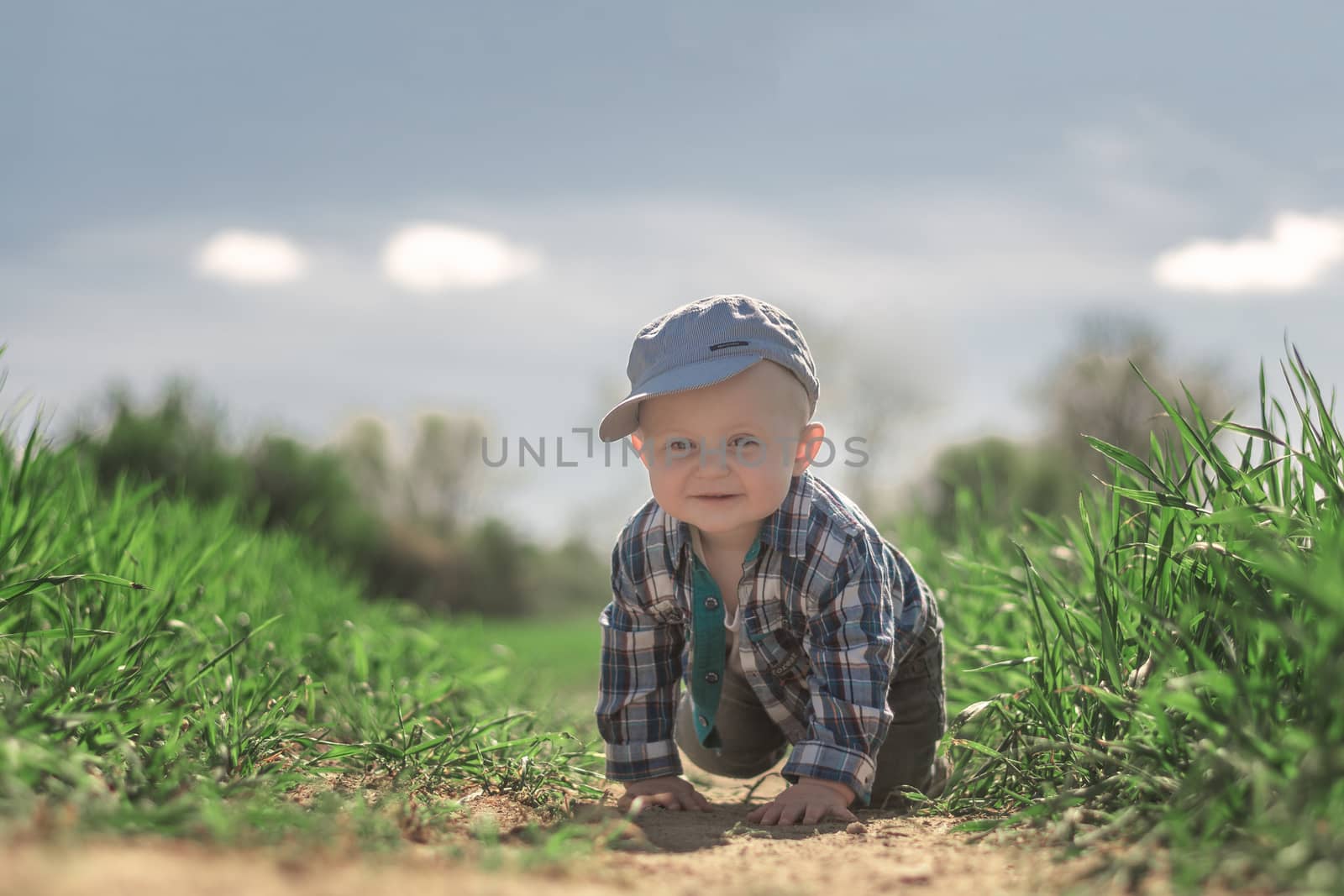 A little Caucasian little boy with blue eyes in a baseball cap and plaid shirt crawling in the furrow of a field with growing grain.