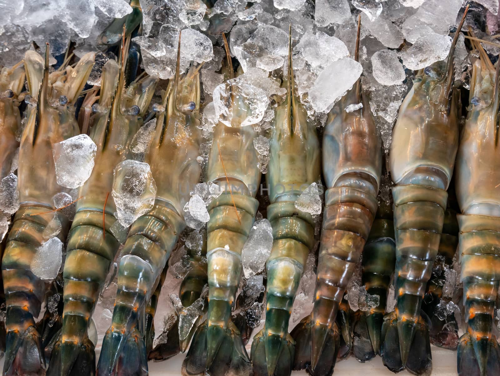 Fresh Black tiger shrimps on crushed ice at Thai seafood market.