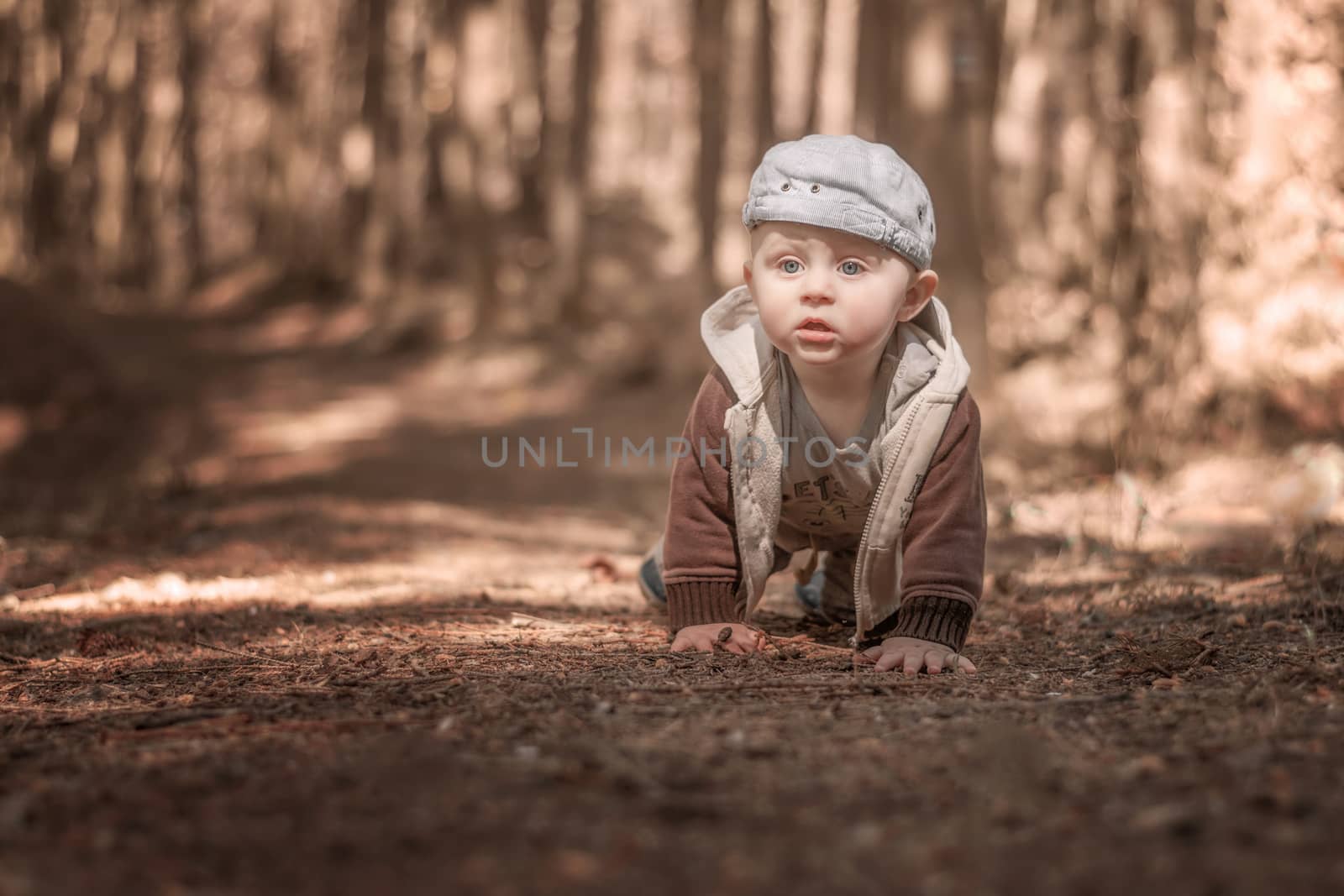 A lone little caucasian baby boy climbs a forest path. Blurred background. Monochrome tuning.