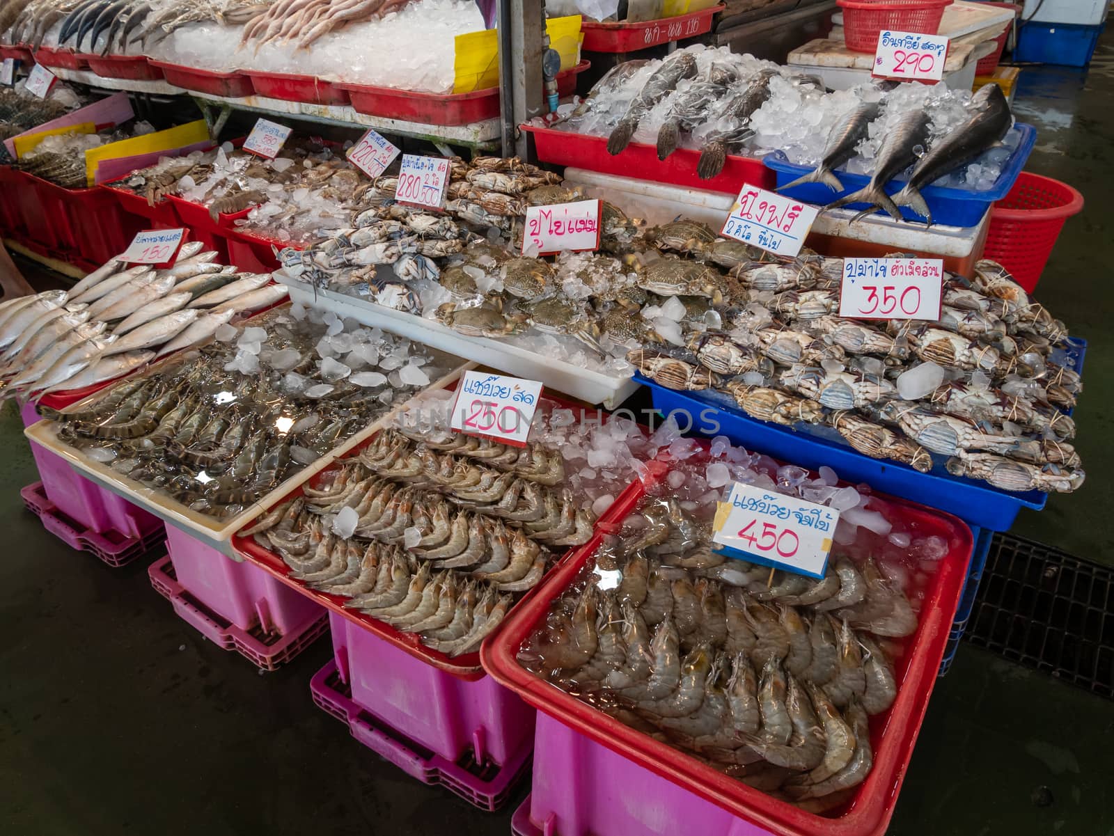 Fresh cockles in the Thai seafood market.