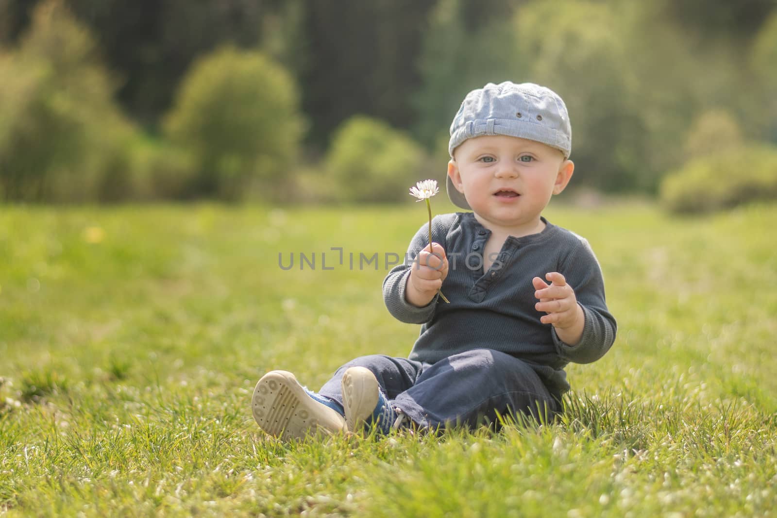 A blue-eyed Caucasian infant in hat sits on a meadow road and giving a daisy to the camera.