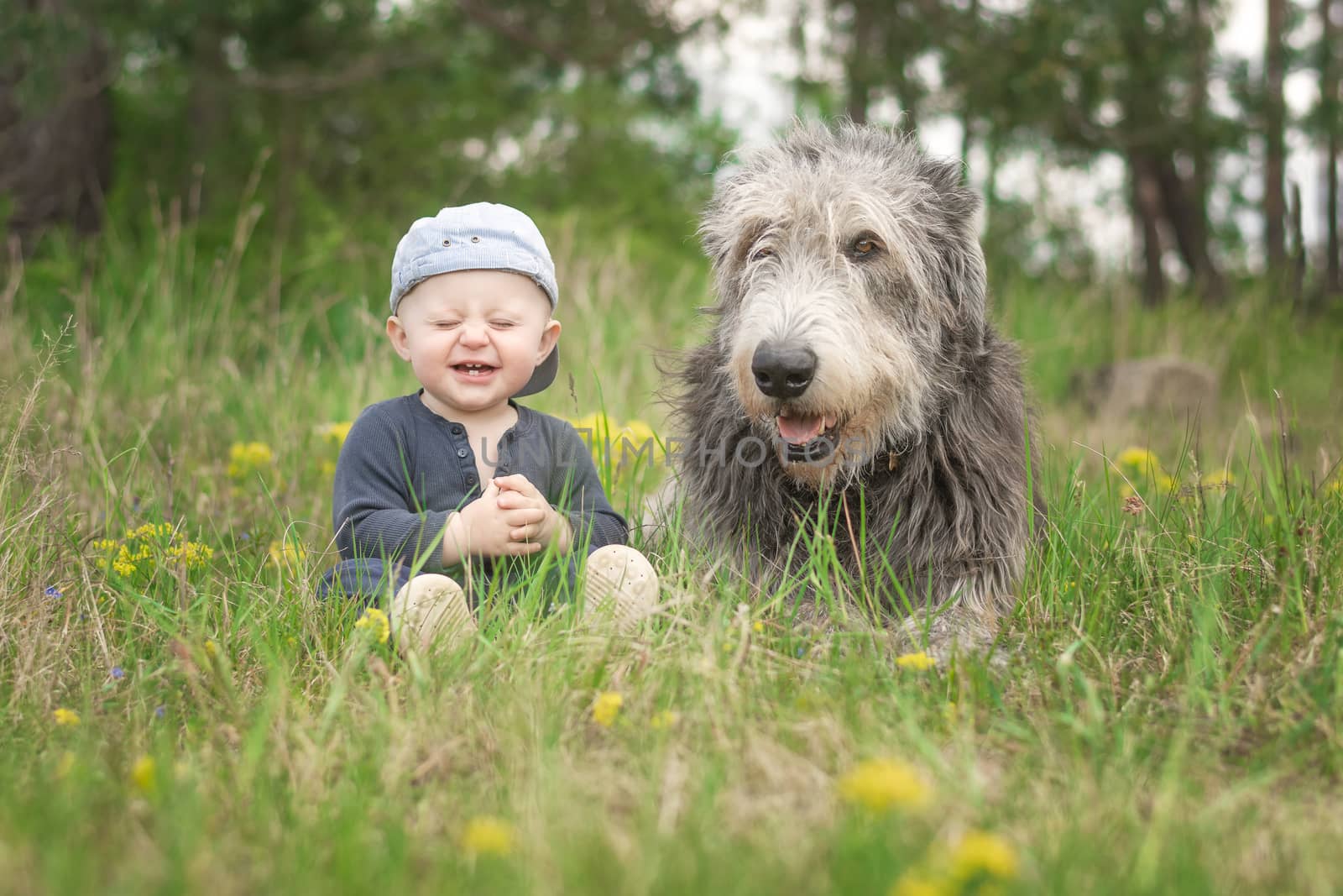 An 11 month old infant sits in the grass with his protector, a giant Irish Wolfhound dog. Laughing and sharing a friendship between a child and a dog.
