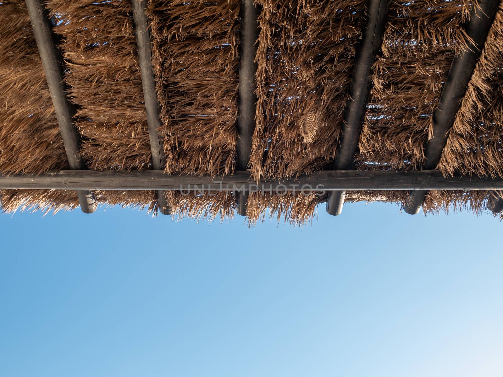 Tropical coconut palm tree leaf pavilion roof with blue sky.