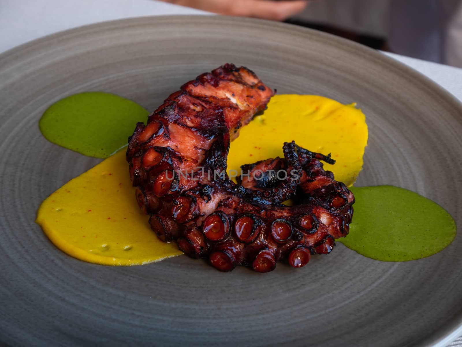 Grilled octopus on plate drizzled with olive oil, Mediterranean cuisine. 