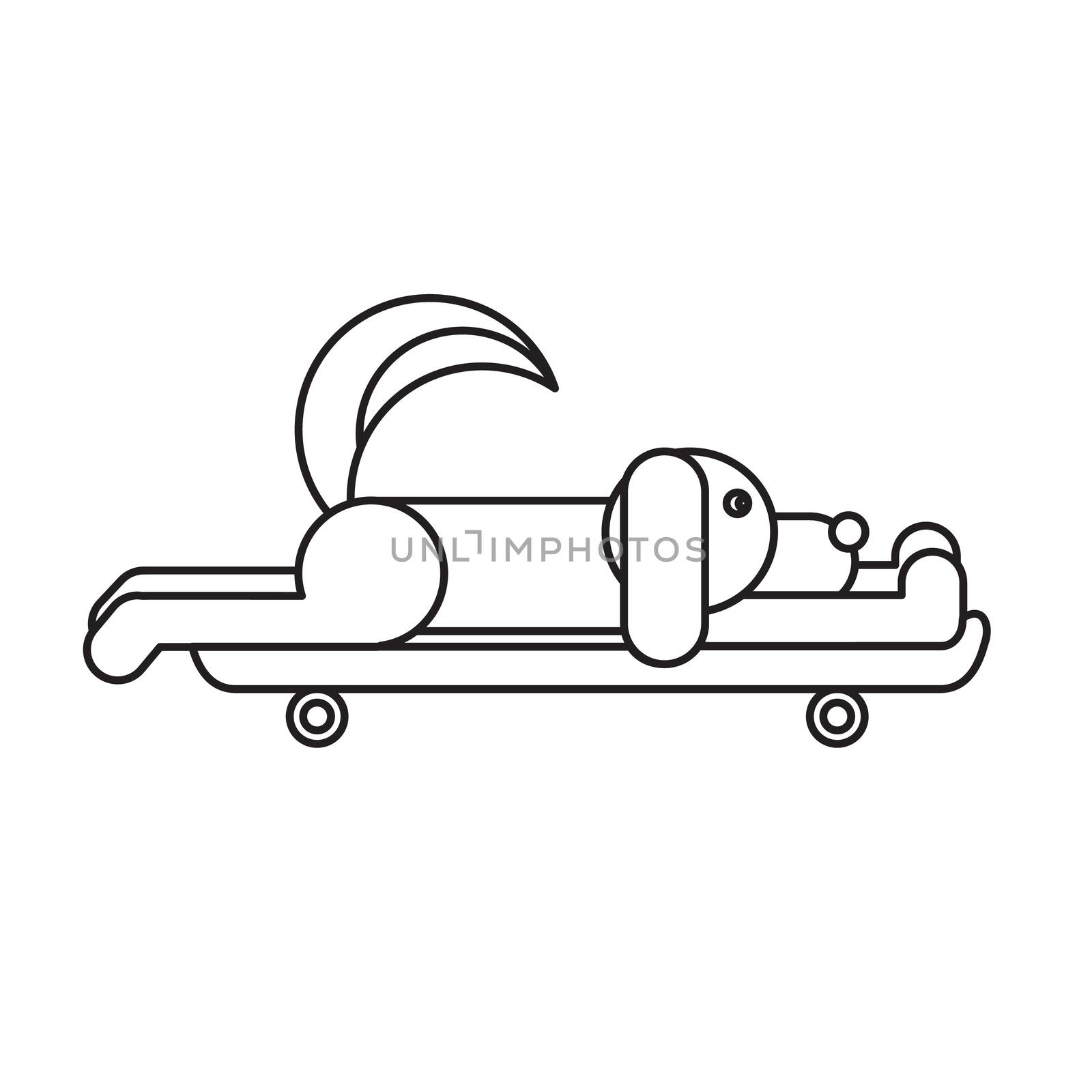 Dog sitting on a skateboard. Vet symbol. Delivery icon. Vector
