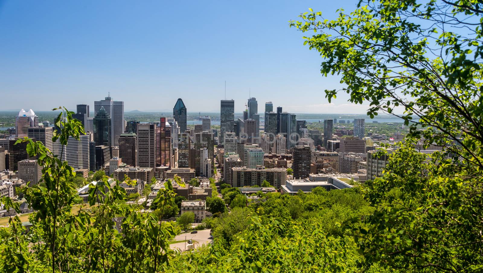 Montreal skyline from Mont Royal Mountain by mbruxelle