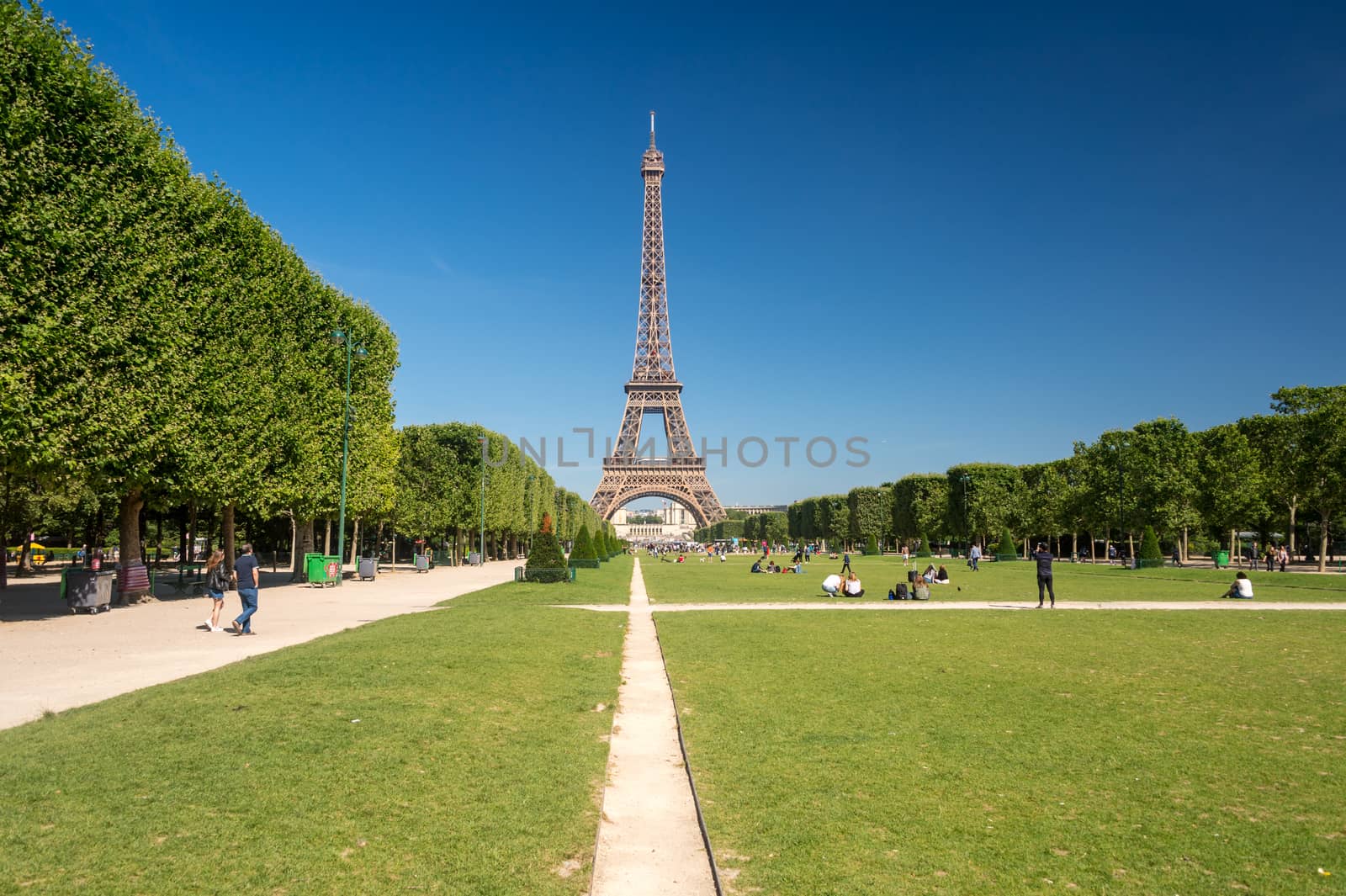 Eiffel Tower from the Champ de Mars gardens in summer. by mbruxelle