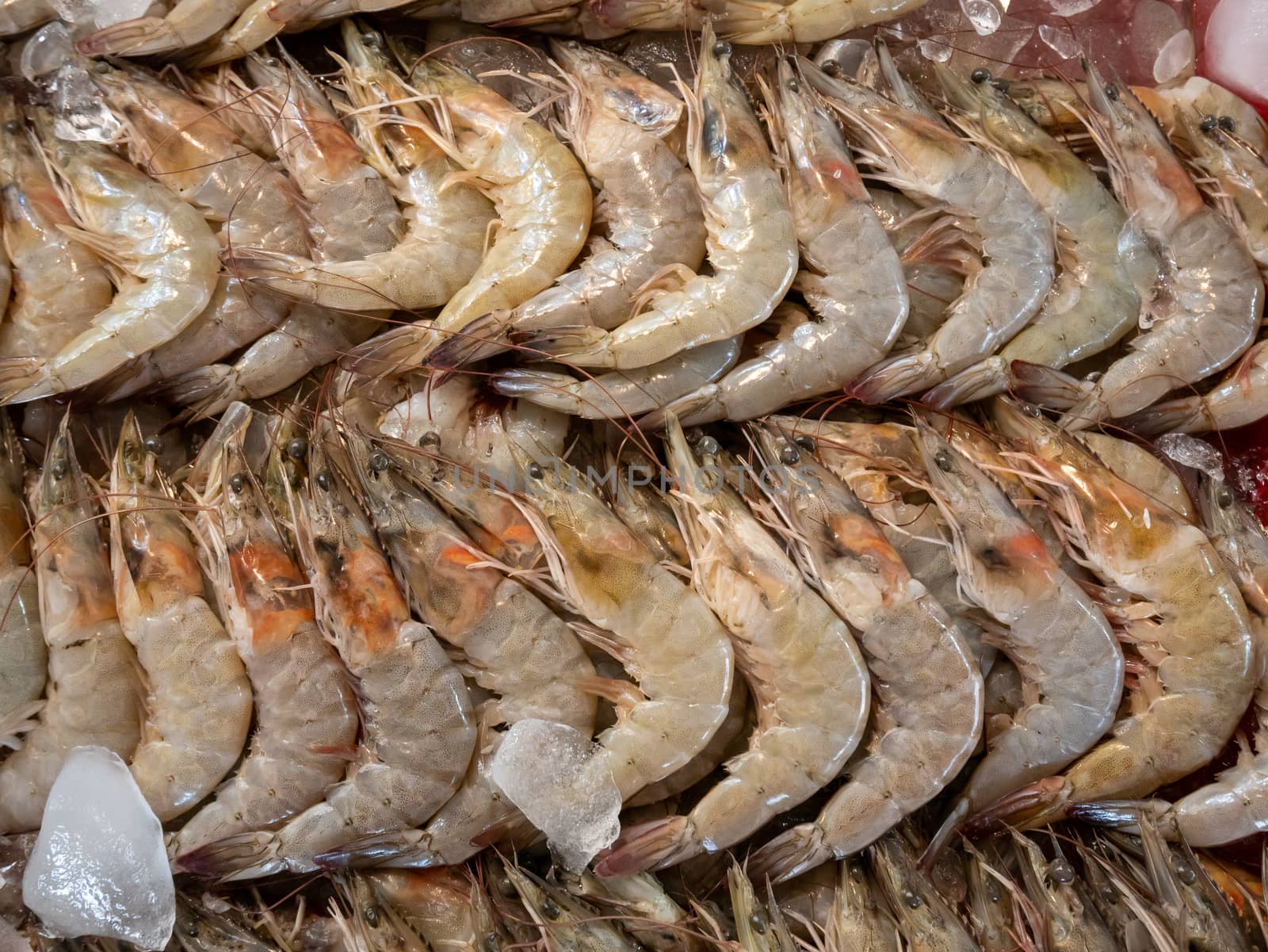 Fresh shrimps on crushed ice at Thai seafood market. by Amankris
